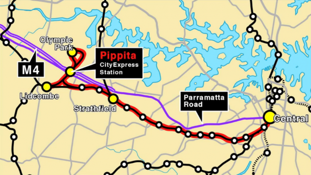 Pippita City Express